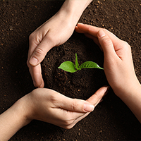 Crop Nutrition